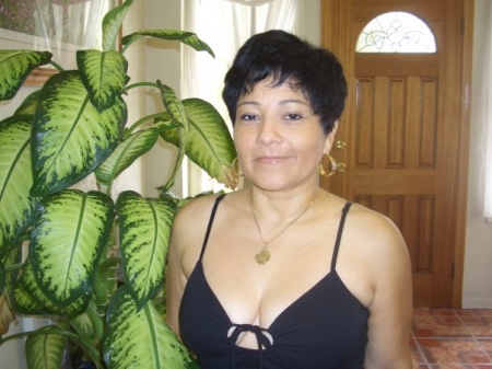 Sylvia Romero's Classmates® Profile Photo