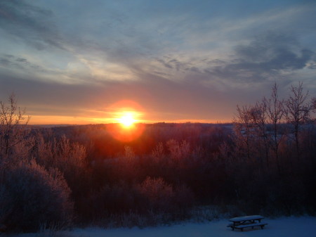 The view from my deck