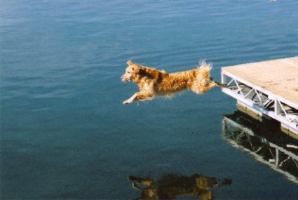 Lindy Hop Dock jumping