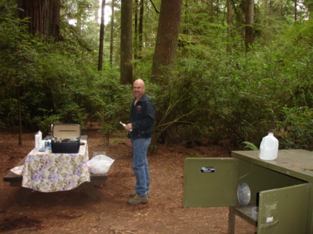 Camping in the Redwoods