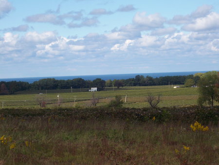 Our Farm in Westfield, NY