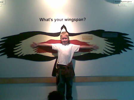 Joshua's wingspan