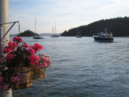 Friday Harbor