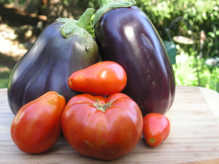 Eggplant and Tomatoes