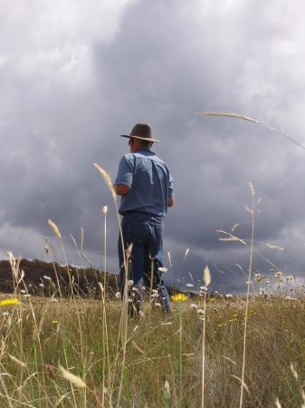 Gordon on the Long Plain