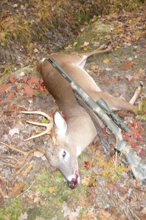 8point - The other red meat!!!