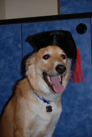 Yes, Willow graduated from Petsmart dog class