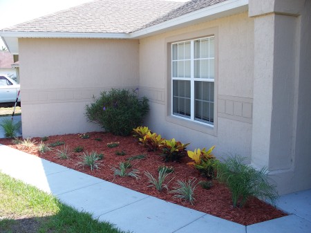 The front of our house