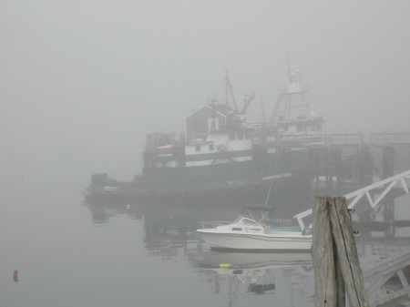MISTY MORNING IN THE HARBOR