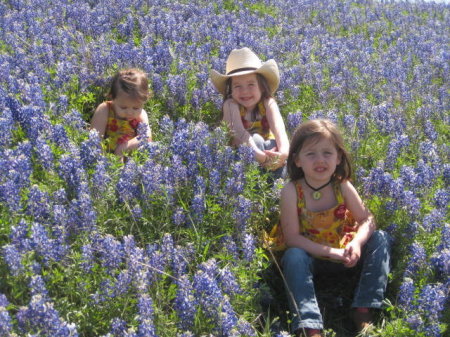 Blue bonnet jewels