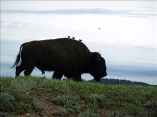 South Dakota