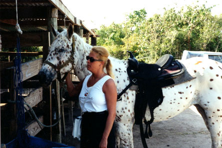 Cayman Island Horseback Ride