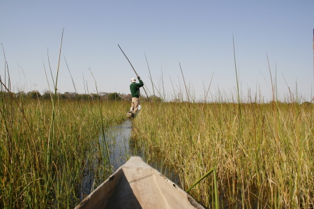 On the Okavango Delta