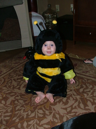 Ella the Bumble Bee