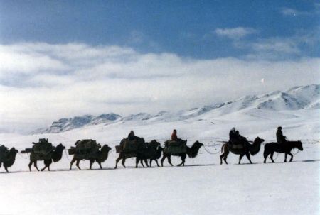 camel caravan in winter