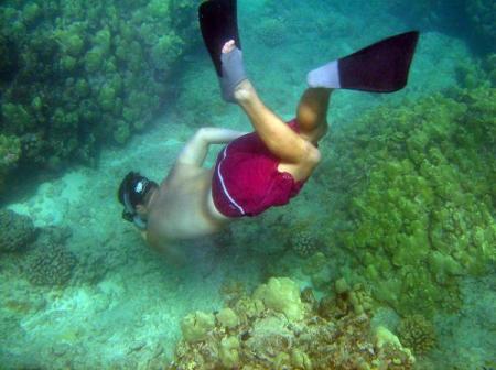Snorkeling in Hanauma Bay, Hawaii