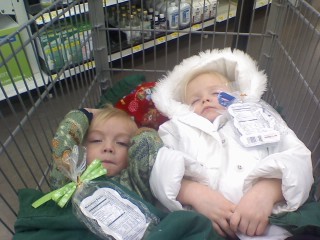 GRANDBABIES ASLEEP IN THE CART AT WALMART