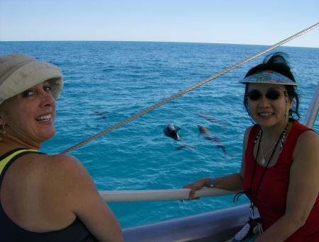 Swimming with wild dolpins in the Bahamas