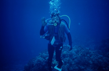 P.A.D.I. Divemaster