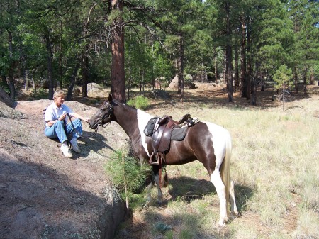 flagstaff,az.2007