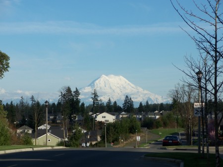 Mt. Rainier