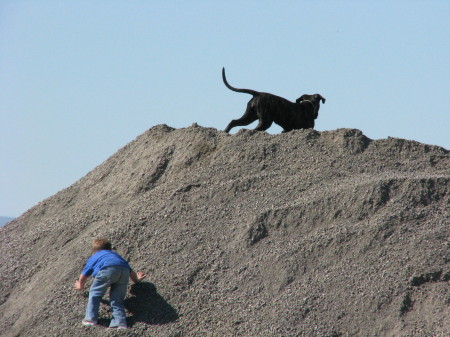 What Fun! A giant pile of dirt!