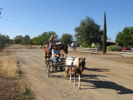 Driving Tehama