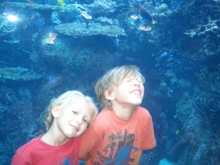 Liam and Noah Luke at The Aquarium