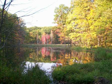 Our Lake