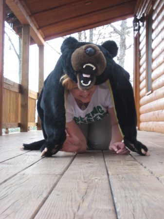 bear attack