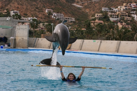 Swimming with Dolphins in Cabo