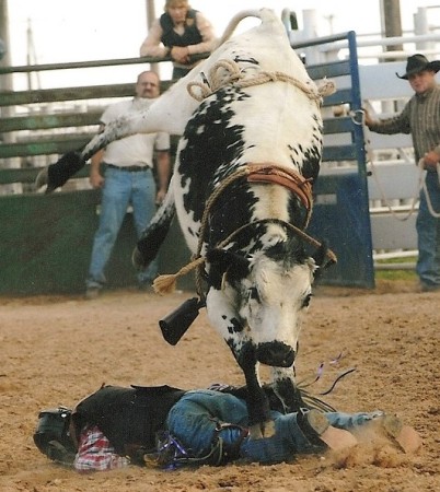 Steer Riding 4