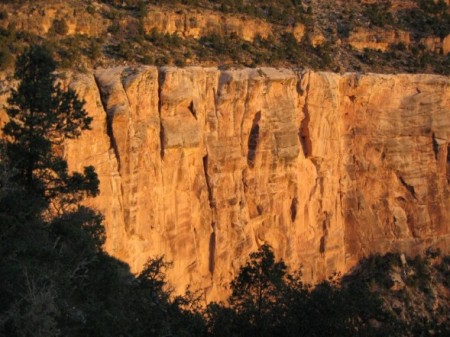 Grand Canyon from the floor!