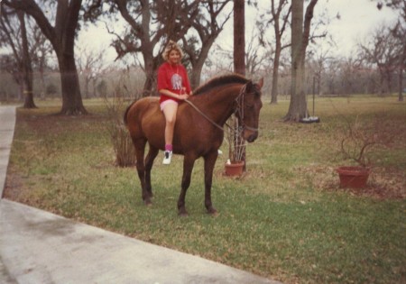 loveing horses