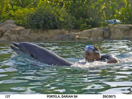 Swimming w/Dolphins