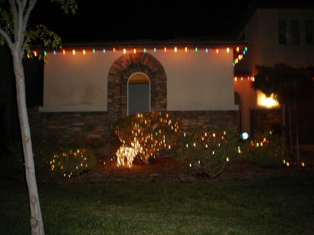 CHRISTMAS OUTSIDE NEW HOUSE 2009