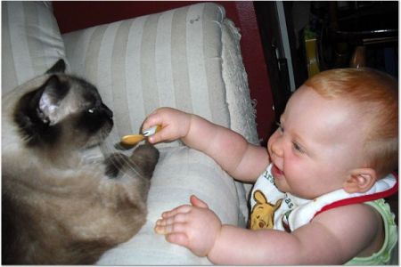 Sarah feeding the cat