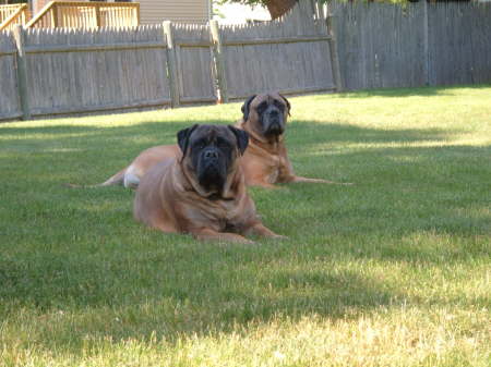 Jenna & Yukon