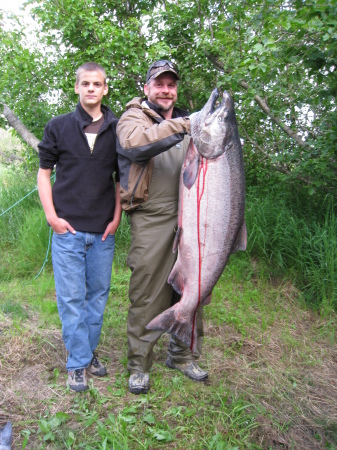60 lb Kenai River King Salmon