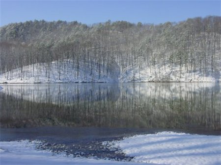 Susan Brookshire's album, Our New Cabin