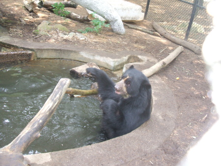 Jaoquin in Pool