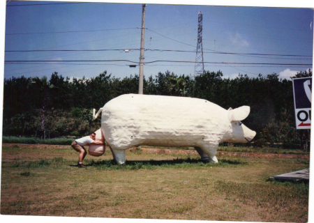 Okinawa, Japan 1991