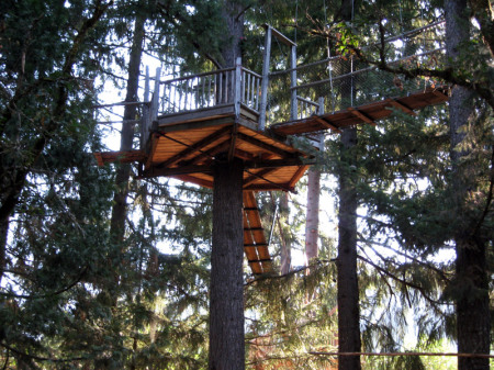 Treehouses in the Woods
