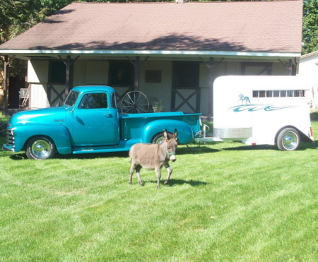 51 Chevy Truck