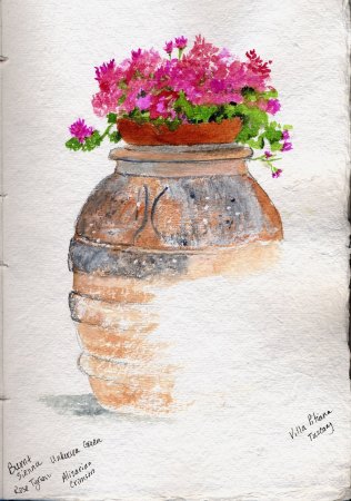 Flower Pot, study...