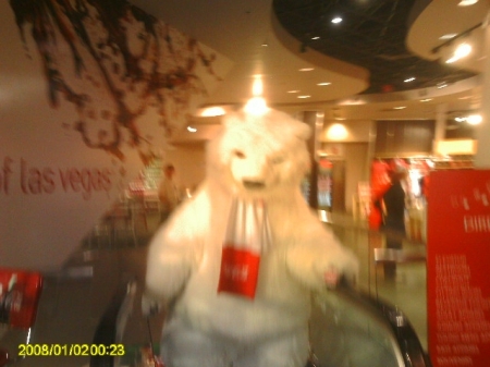 Coca Cola Bear