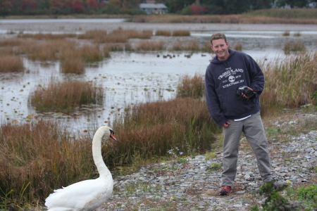 Swans bite