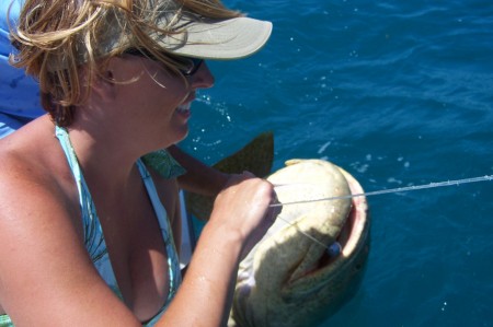 Goliath Grouper