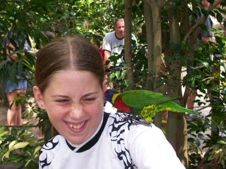 The Lorikeet Garden