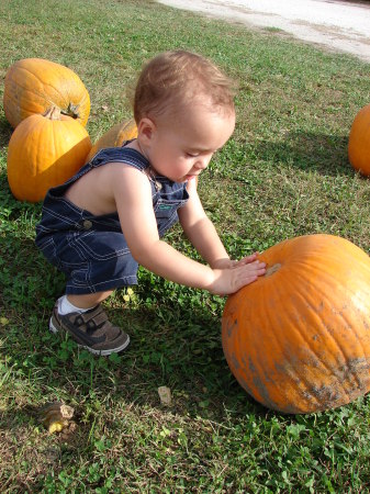 Picking out a punkin'